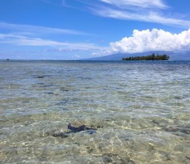 French Polynesia Casa | Bungalow les pieds ds l eau, La Maison Bleue