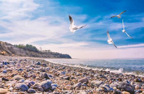 Bakenberg Casa | Bungalow MEER ODER WENIGER direkt am Strand