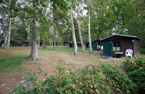Bakenberg Casa | Bungalow MEER ODER WENIGER direkt am Strand