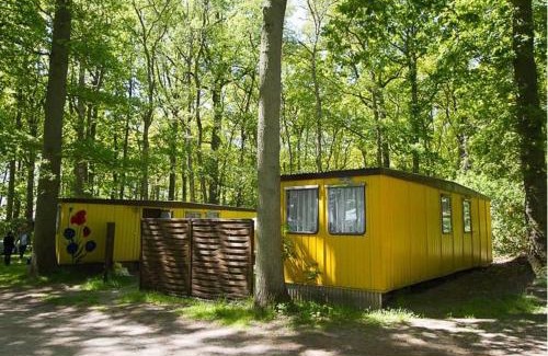 Bakenberg Casa | Bungalow WALD & SAND direkt am Strand