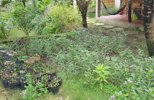 Chau Thanh Casa | Bungalow with garden view