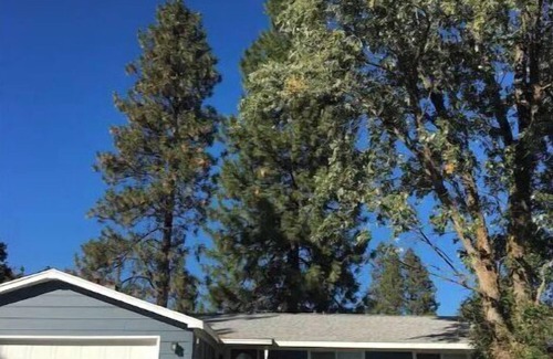 Spokane Casa | Bungalow with hidden room behind bookcase door and no cleaning fees
