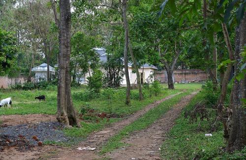 Bungoma Casa | Bungalow with lush garden on the highway