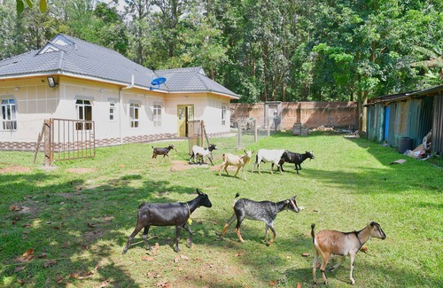 Bungoma Casa | Bungalow with lush garden on the highway
