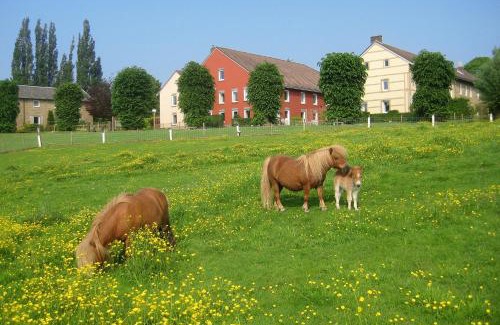 Landsrade Casa | Bungalowpark Landsrade