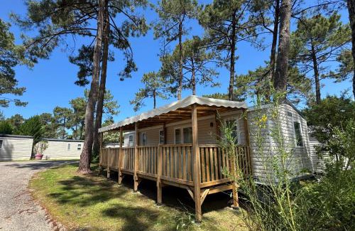 Claouey Otro | Bungalows Cap-Ferret - BandB La conciergerie