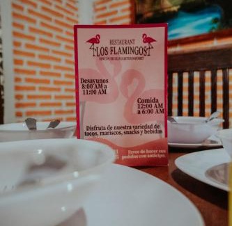 Rincón de Guayabitos Hotel | Bungalows Flamingos
