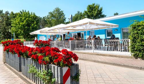 Joachimsthal Casa | Bungis - 28 Ferienhäuser Am Grimnitzsee G8
