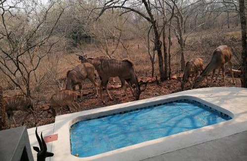 Marloth Park Apartamento | Bushbuck Rest