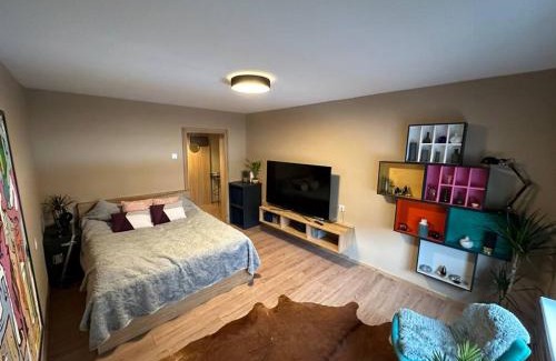 Jelgava Apartamento | Business and getaway