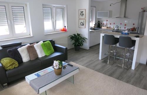 Bad Konig Apartamento | Business apartment