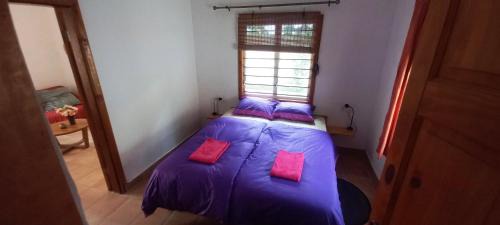 West Coast Division Casa | Busy Bee Nature Residence