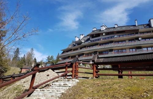 Koscielisko Apartamento | BUTOROWY RESIDENCE Apartament "GÓRSKA ORCHIDEA"