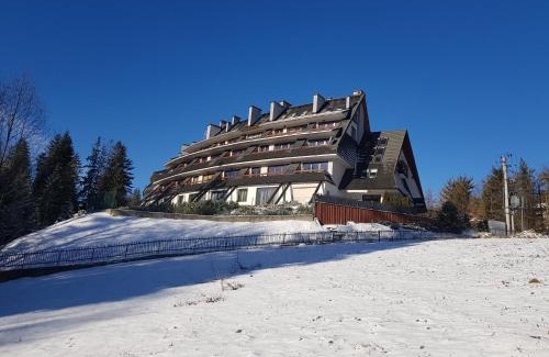 Koscielisko Apartamento | BUTOROWY RESIDENCE Apartament "GÓRSKA ORCHIDEA"