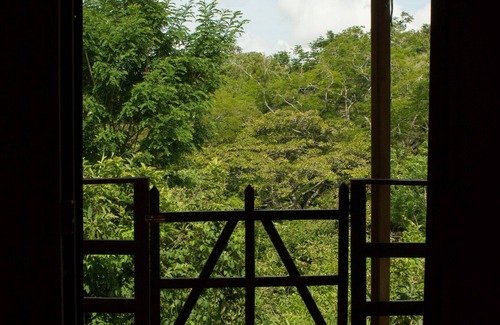 Garabito Cabina | Mariposa Cabin - Forest View