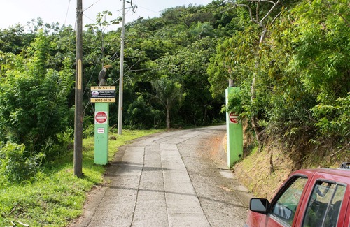 Garabito Cabina | Mariposa Cabin - Forest View