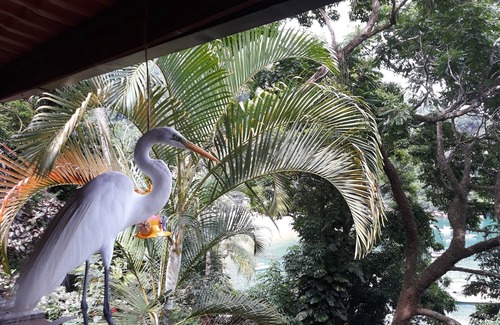 Ilha Grande Chalet De Esquí | Chaleco de aterrizaje de la mariposa