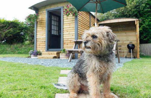 Kilgetty Otro | Buttles Shepherd's Hut