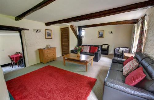 Brayford Casa | Button Stable