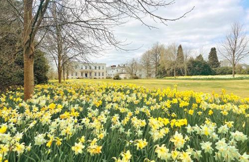 Uckfield Casa | Buxted Park Hotel