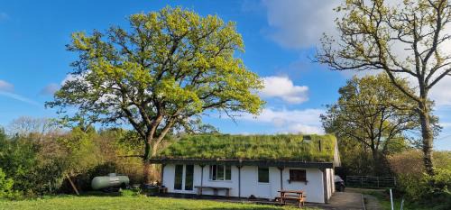 Chard Otro | Buzzard's Nest Glamping Oak