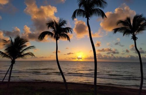 Candelero Abajo Apartamento | BV103 - Amazing Oceanfront Condo steps from beach
