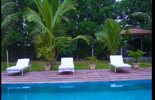 Kalvan Casa | Bvc resort and rooms
