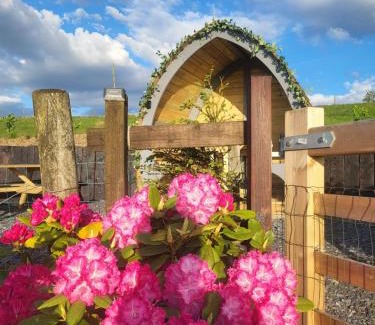 Llanllyfni Casa | Bwthyn Plas Hafod Cottage