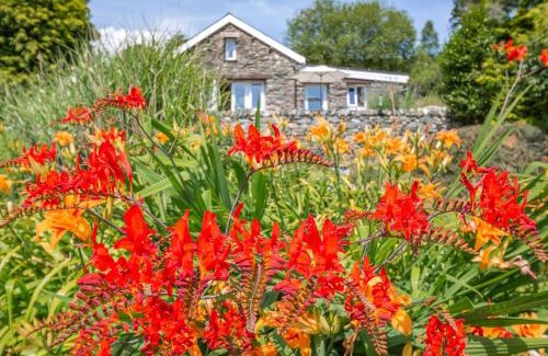 Beddgelert Casa | Bwythyn Y Wennol