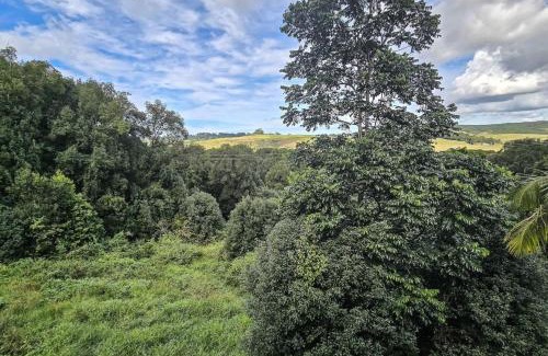 Talofa Apartamento | Byron Bay Hinterlands Dreaming Woods Cabin One