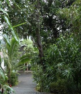Vythiri Hotel | ByTheLakeResort