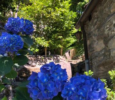 Giumaglio Casa | Cà dal Bosc e Cà sgrüscia