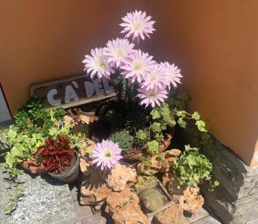Tremezzina Casa | Cà del Fili