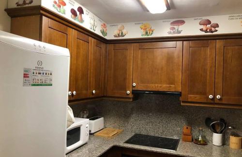 Surp Apartamento | Cèntric allotjament A RIALP