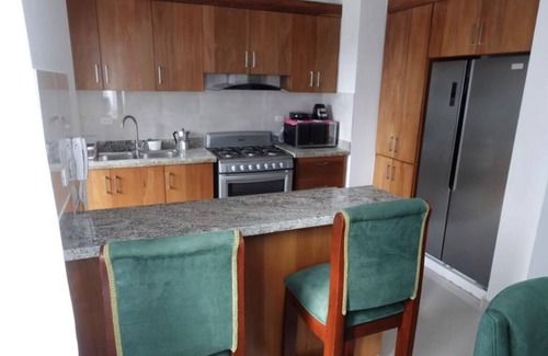 Punal Apartamento | Céntrico y moderno apartamento en santiago