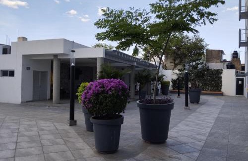 San Juan de Dios Apartamento | Céntrico y estiloso apartamento con Alberca, AC, Seguridad, Aparcamiento y Gym