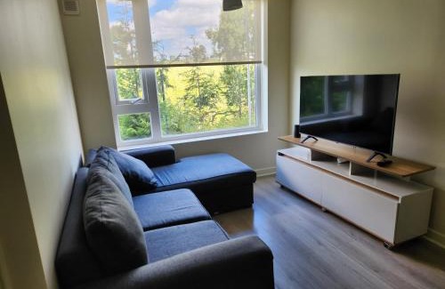 Osorno Apartamento | Cómodo y acogedor departamento