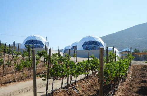 San Antonio de las Minas Hotel | Cúpulas Del Valle by Villa De La Rosa