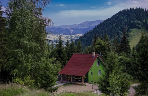 Borsa Cabina | Căbănuța din Pădure