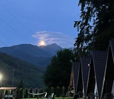 Cartisoara Otro | Căsuțele de sub pădure