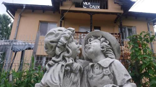 Baile Govora Casa | C a l i x