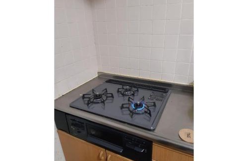 Oshino Casa | C,T,Forest - Vacation STAY 15217v