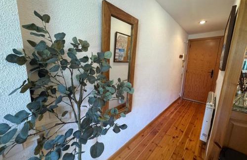 Cerler Apartamento | C09 - Apartamento Pirineos - Villmor