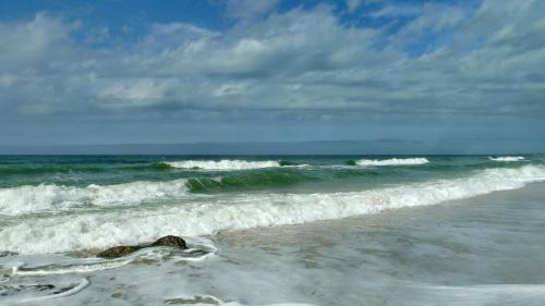 Madeira Beach Casa | C3-Star Fish