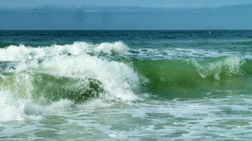 Madeira Beach Casa | C3-Star Fish