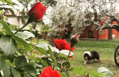 Angarano Casa | Ca' Boschetto