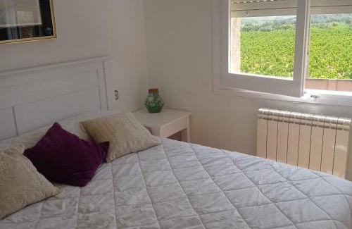 San Martin Sarroca Apartamento | Ca La Montserrat - Wine Rural House