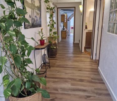 Bellcaire d'Emporda Apartamento | Ca la Teia