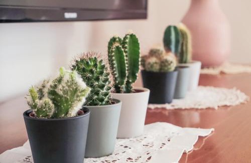 Navile Apartamento | Ca'Molino Ampio appartamento con giardino privato vicino al centro storico fiera ospedale stazione centrale aeroporto Centergross