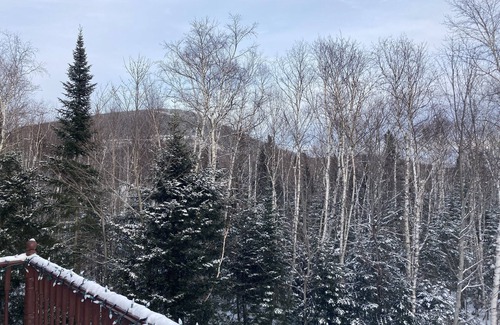 Petite-Riviere-Saint-Francois Cabaña | Charlevoix vacation home - Spa et Repos 10 minutes from the Massif